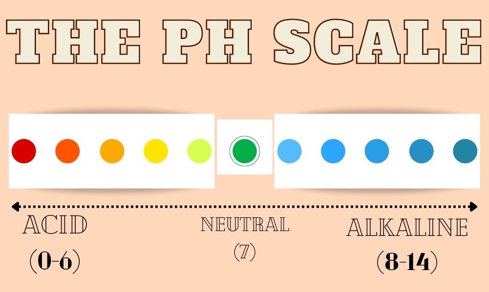 A diagram of the pH scale.